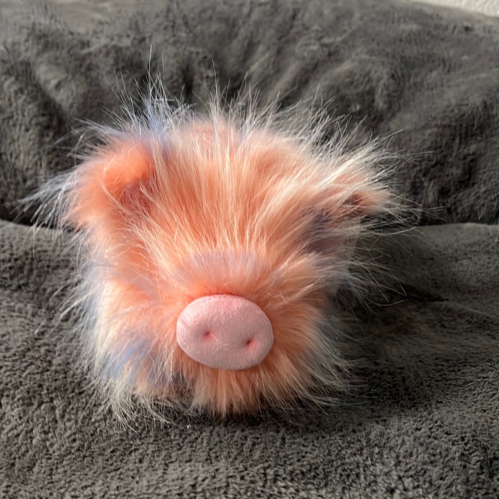 Multi color pig stuffy by Aurora